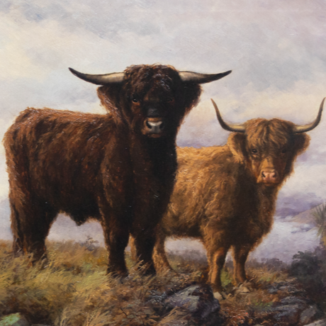 Explore the Collection image. 